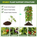 Adjustable Tomato Cage 8-Pack, 63" Tall Plant Support for Garden, Pots & Raised Beds
